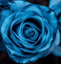 ga4b60d43599ff1a5b31ffc625ea02a8ed29b01f5aa779df57fc7ce46501de6d323bf8144c34bbd29ef413392811b55af630cf55e750e1181921afd94f1123dfe 1280 7577265